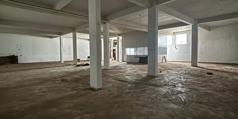 WhatsApp Image 2026-01-29 at 14.10.03