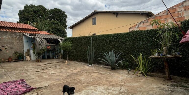 WhatsApp Image 2026-02-26 at 14.50.57